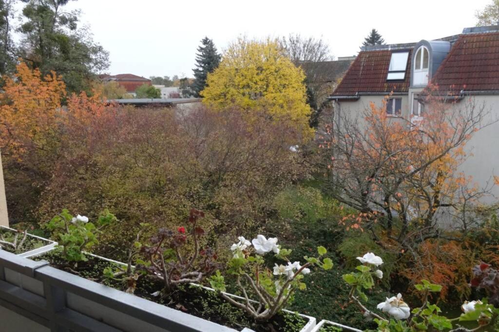 Schoene, Ruhige Wohnung In Berlin-Steglitz Exterior photo
